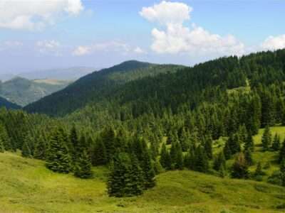 Letovanje Kopaonik