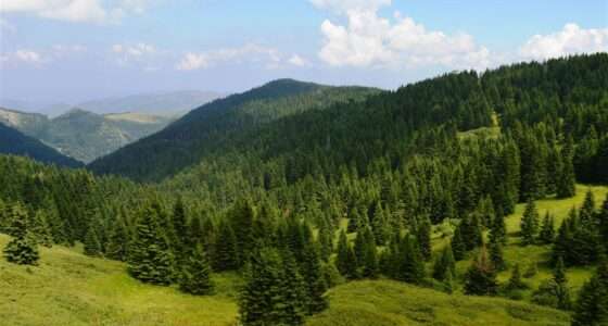 Letovanje Kopaonik