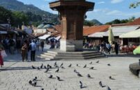 Sarajevo je poznato po sebilju i golubovima.