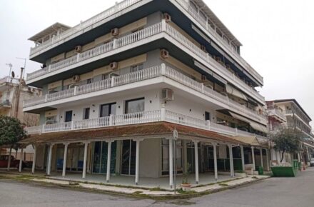 Vila Hellas Paralia 150 metara od plaze